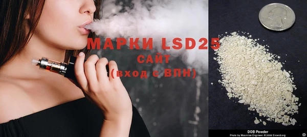 дживик Новозыбков