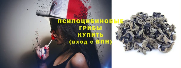прущая мука Новодвинск