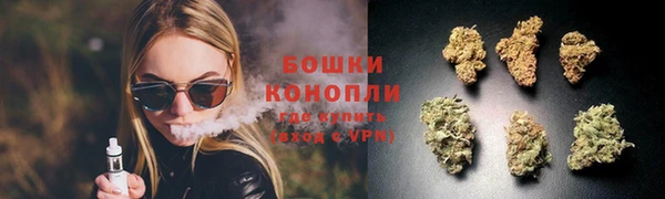 дживик Новозыбков