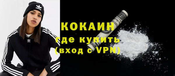 дживик Новозыбков