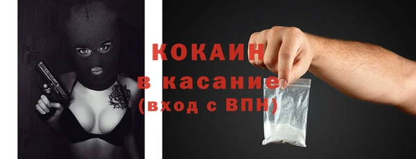 дживик Новозыбков
