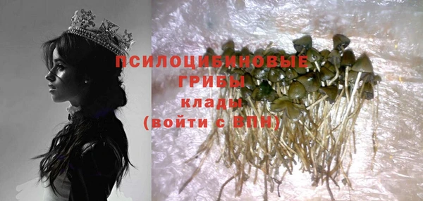прущая мука Новодвинск