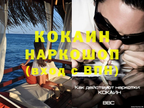 дживик Новозыбков