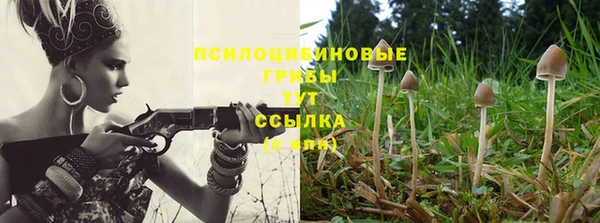 дживик Новозыбков