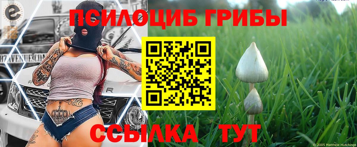 Галлюциногенные грибы ЛСД  Копейск 