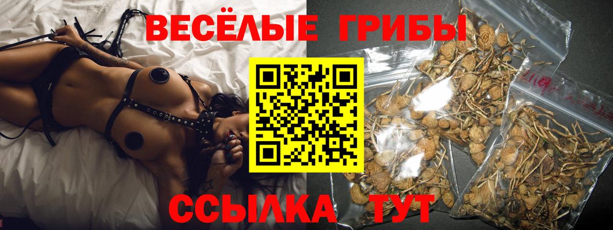 Галлюциногенные грибы GOLDEN TEACHER  где найти   Копейск  Галлюциногенные грибы Psilocybe  Вход с VPN 
